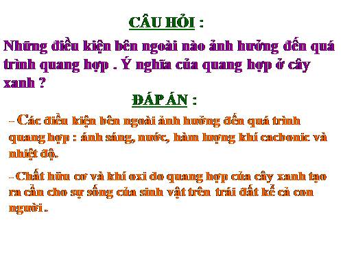 Bài 23. Cây có hô hấp không?