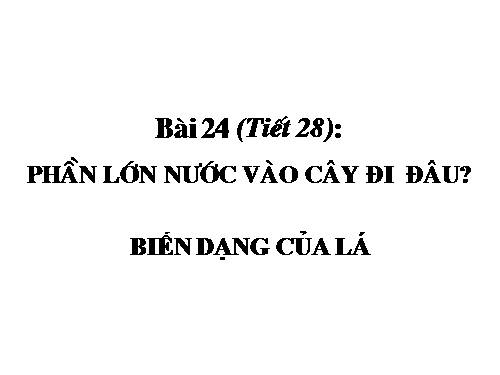 Bài 24. Phần lớn nước vào cây đi đâu?