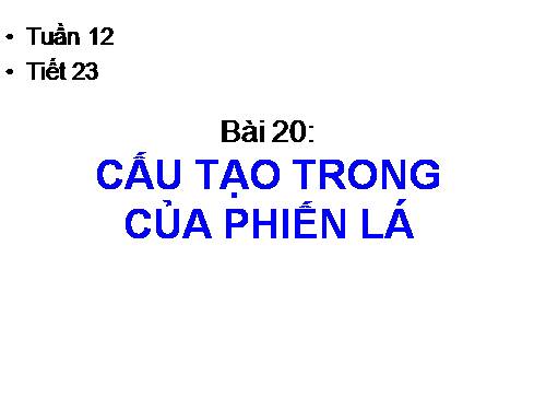 Bài 20. Cấu tạo trong của phiến lá