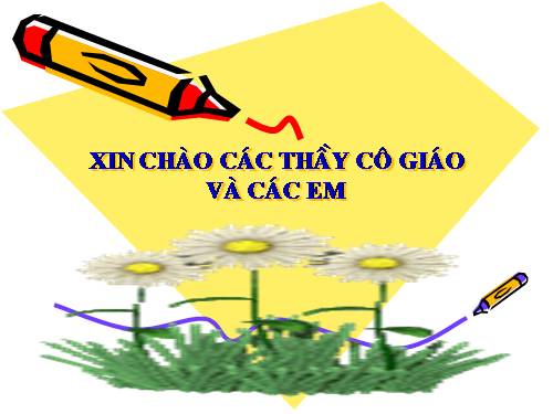 Bài 20. Cấu tạo trong của phiến lá