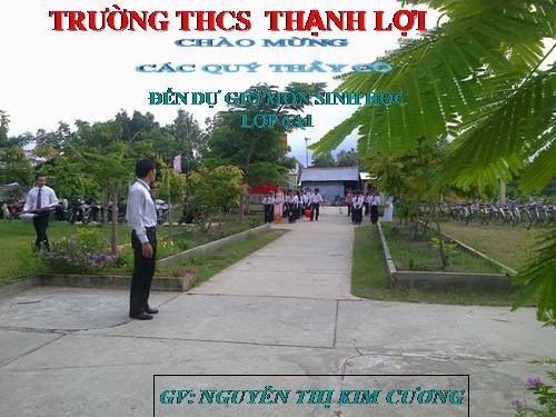Bài 19. Đặc điểm bên ngoài của lá