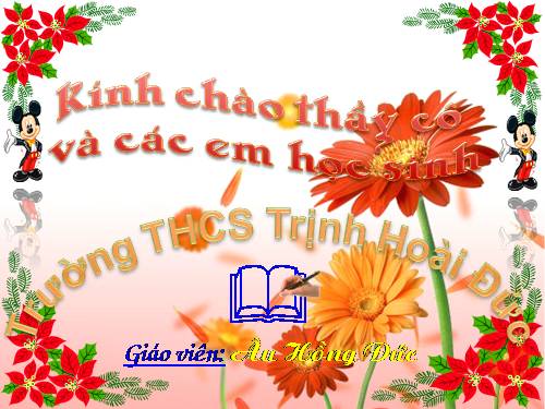 Bài 20. Cấu tạo trong của phiến lá