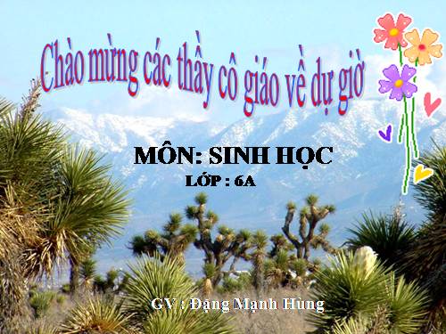 Bài 19. Đặc điểm bên ngoài của lá