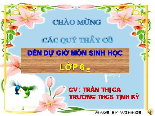 Bài 25. Biến dạng của lá