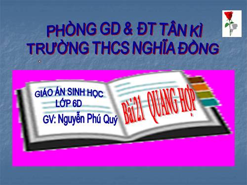 Bài 21. Quang hợp