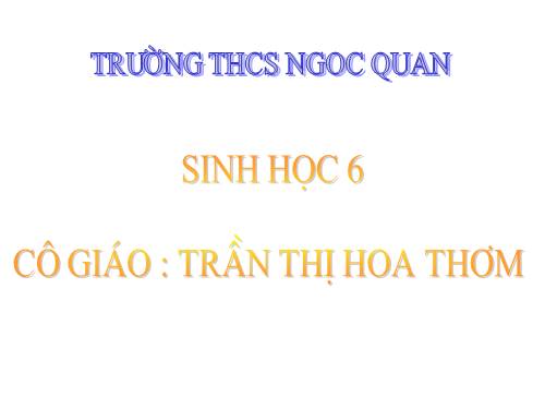 Bài 21. Quang hợp