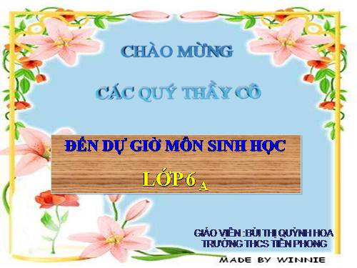 Bài 19. Đặc điểm bên ngoài của lá