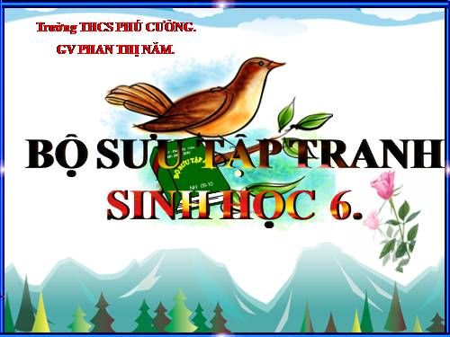 Bộ Tranh sinh 6 phần 1