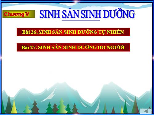 Bộ tranh sinh 6 phần 5