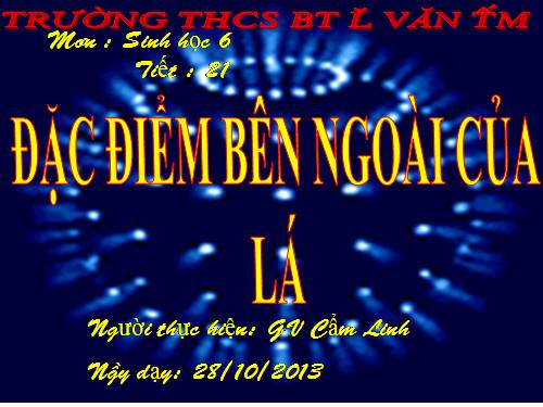 Bài 19. Đặc điểm bên ngoài của lá