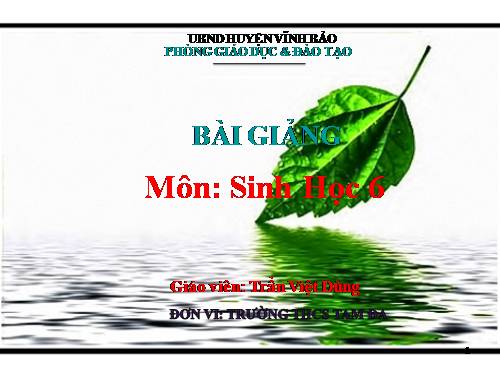 Bài 19. Đặc điểm bên ngoài của lá