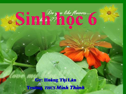 Bài 18. Biến dạng của thân