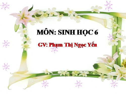 Bài 19. Đặc điểm bên ngoài của lá
