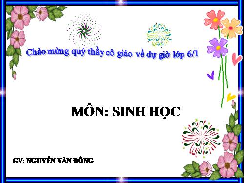 Bài 19. Đặc điểm bên ngoài của lá
