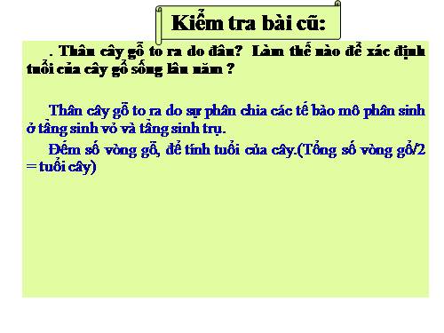 Bài 17. Vận chuyển các chất trong thân