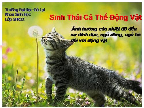 ảnh hưởng của nhiệt độ đến trạng thái ngủ đông ngủ hè