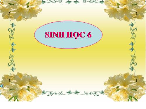 Bài 18. Biến dạng của thân