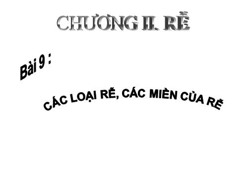 Bài 9. Các loại rễ, các miền của rễ