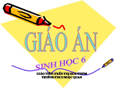 Bài 19. Đặc điểm bên ngoài của lá