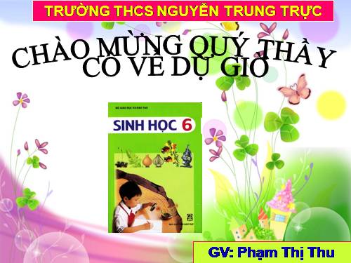 Bài 19. Đặc điểm bên ngoài của lá