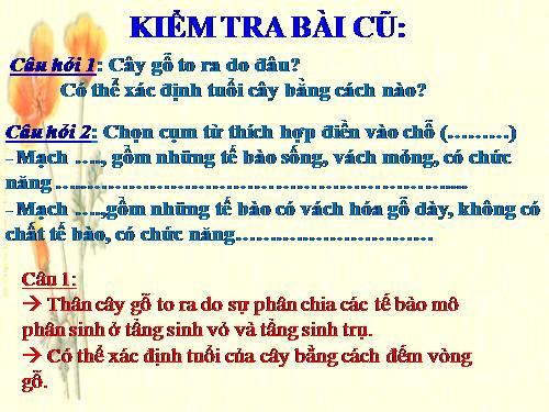 Bài 18. Biến dạng của thân