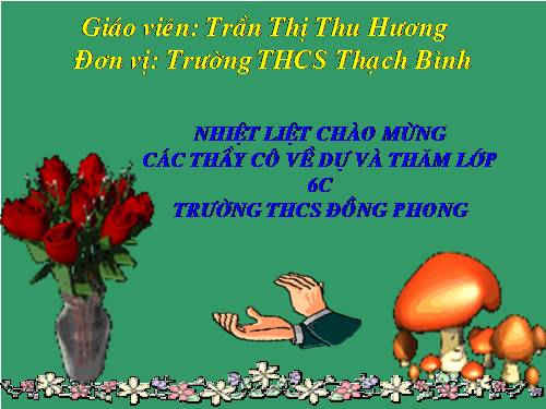 Bài 28. Cấu tạo và chức năng của hoa