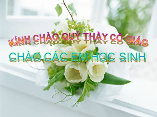 Bài 34. Phát tán của quả và hạt