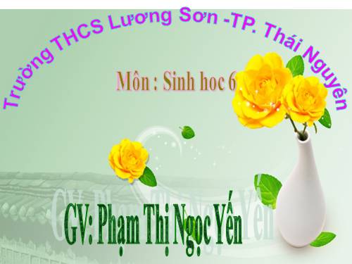 Bài 18. Biến dạng của thân