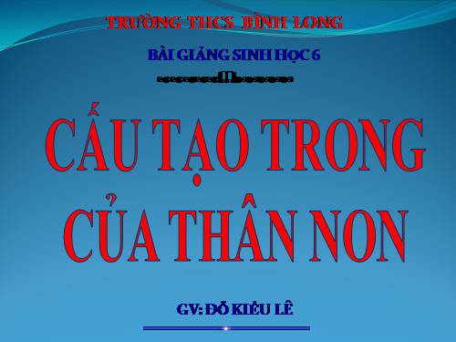 Bài 15. Cấu tạo trong của thân non