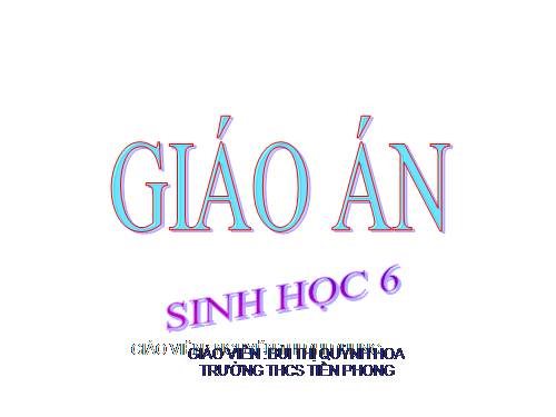 Bài 19. Đặc điểm bên ngoài của lá