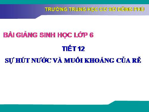 Bài 11. Sự hút nước và muối khoáng của rễ