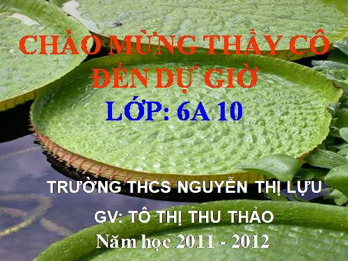 Bài 19. Đặc điểm bên ngoài của lá