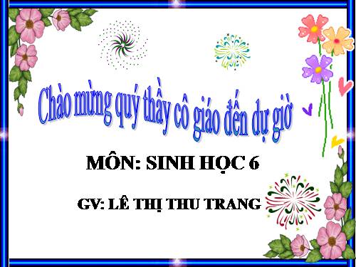 Bài 19. Đặc điểm bên ngoài của lá