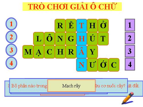 Bài 13. Cấu tạo ngoài của thân