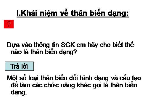 Bài 18. Biến dạng của thân