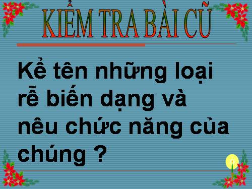 Bài 13. Cấu tạo ngoài của thân