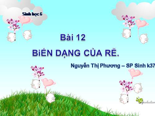 Bài 16. Thân to ra do đâu ?