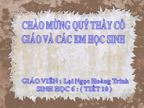 Bài 11. Sự hút nước và muối khoáng của rễ