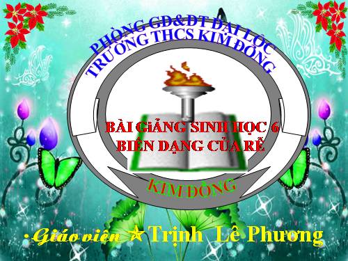 Bài 12. Biến dạng của rễ