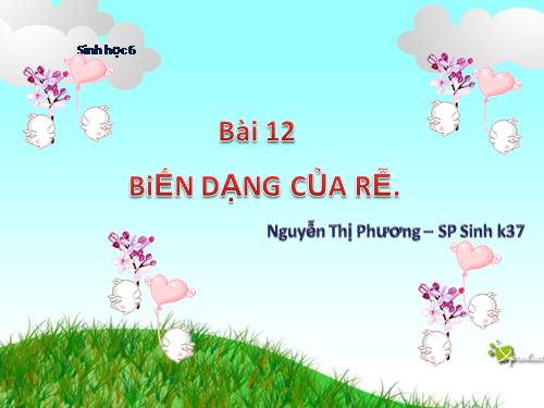 Bài 14. Thân dài ra do đâu ?