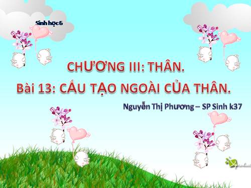 Bài 13. Cấu tạo ngoài của thân