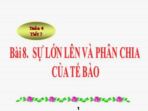 Bài 8. Sự lớn lên và phân chia của tế bào