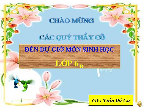 Bài 12. Biến dạng của rễ