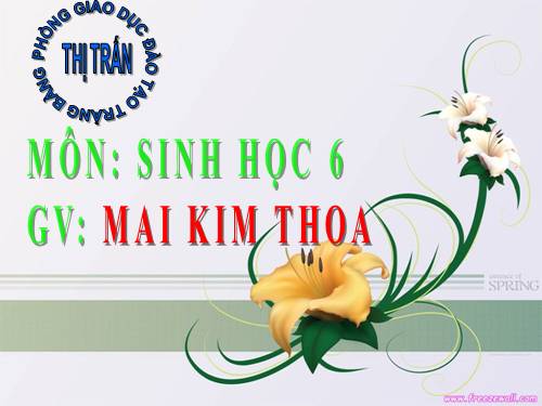 Bài 9. Các loại rễ, các miền của rễ