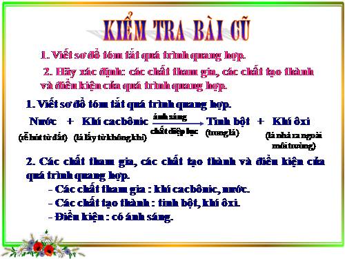 Bài 22. Ảnh hưởng của các điều kiện bên ngoài đến quang hợp, ý nghĩa của quang hợp