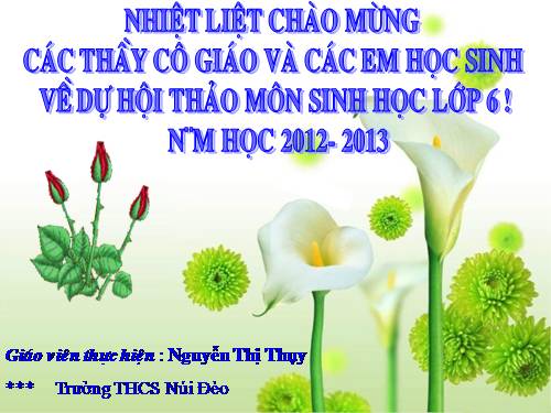 Bài 28. Cấu tạo và chức năng của hoa