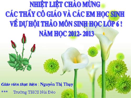 Bài 28. Cấu tạo và chức năng của hoa