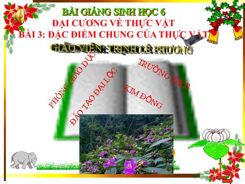Bài 3. Đặc điểm chung của thực vật