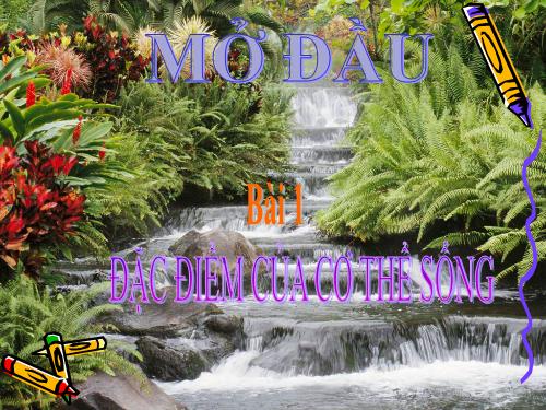 Bài 1. Đặc điểm của cơ thế sống