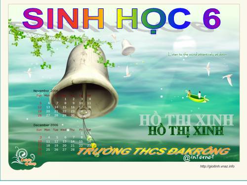 Bài 46. Thực vật góp phần điều hoà khí hậu